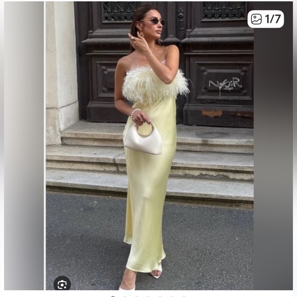 NWT ZARA  VIRAL 2025 COLLECTION FEATHERED SATIN  DRESS SIZE S and L
🚨FIRM PRICE - Picture 4 of 16